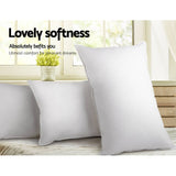 darrahopens Home & Garden > Bedding Giselle Bedding Set of 2 Goose Feather and Down Pillow - White
