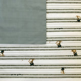 Darrahopens Home & Garden > Bedding Jelly Bean Kids Logan Denim Quilt Cover Set Single