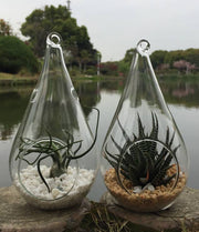 Darrahopens Home & Garden > Decor 4 Pack of Hanging Clear Glass Tealight Candle Holder Tear Drop Pear Shape - 12cm High - Terrarium Plant Mini Garden Holder Decor