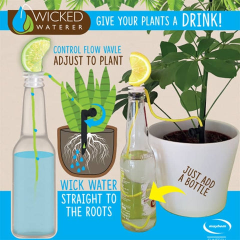 Darrahopens Home & Garden > Decor Wicked Waterer Plant Watering System
