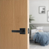 darrahopens Home & Garden > DIY Door Handle Set Lever Passage Function Square Black