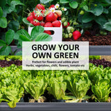 darrahopens Home & Garden > Garden Beds Home Ready 2 Set 160 x 80 x 45cm Grey Raised Garden Bed Galvanised Steel Planter