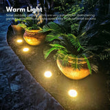 Darrahopens Home & Garden > Garden Lights NOVEDEN 12 Pack Waterproof Solar LED Light (Warm) NE-SL-106-ZL
