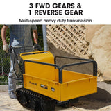 Darrahopens Home & Garden > Garden Tools Baumr-AG Motorised Tracked Wheelbarrow Dumper, Briggs & Stratton CR950 Petrol Engine, 300kg Capacity