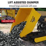 Darrahopens Home & Garden > Garden Tools Baumr-AG Motorised Tracked Wheelbarrow Dumper, Briggs & Stratton CR950 Petrol Engine, 500kg Capacity