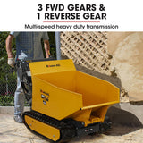 Darrahopens Home & Garden > Garden Tools Baumr-AG Motorised Tracked Wheelbarrow Dumper, Briggs & Stratton CR950 Petrol Engine, 500kg Capacity