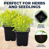 Darrahopens Home & Garden > Garden Tools Garden Greens 720PCE Seedling Pots Plastic Square Reusable Durable 7.7 x 8cm