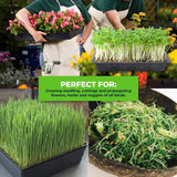 Darrahopens Home & Garden > Garden Tools Garden Greens 72PCE Seedling Trays Lightweight Durable Reusable 24 x 35.5cm