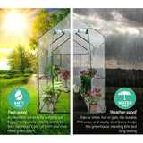darrahopens Home & Garden > Green Houses Greenfingers Greenhouse Garden Shed Green House 1.9X1.2M Storage Greenhouses Clear