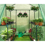darrahopens Home & Garden > Green Houses Greenfingers Greenhouse Garden Shed Green House 1.9X1.2M Storage Plant Lawn
