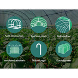 darrahopens Home & Garden > Green Houses Greenfingers Greenhouse Garden Shed Green House 3.5X2X2M Greenhouses Storage Lawn