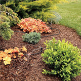 darrahopens Home & Garden > Home & Garden Others 50M Hose Garden Irrigation System Plant Watering DIY Micro Drip Kits