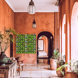 Darrahopens Home & Garden > Home & Garden Others 72 Pockets Wall Hanging Planter Planting Grow Bag Vertical Garden Vegetable Flower Green