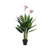 Darrahopens Home & Garden > Home & Garden Others Artificial Bird Of Paradise Plant 150cm (Red Flowers)