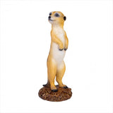 Darrahopens Home & Garden > Home & Garden Others Meerkat
