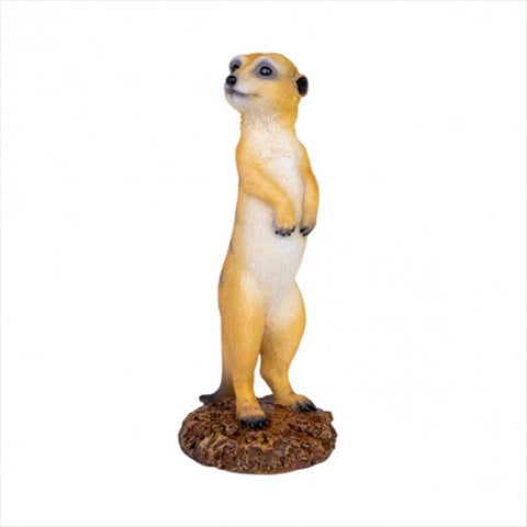 Darrahopens Home & Garden > Home & Garden Others Meerkat