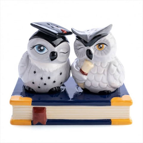 Darrahopens Home & Garden > Home & Garden Others Owl Salt and Pepper Set