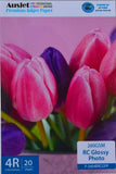 darrahopens Home & Garden > Home Office Accessories AUSJET 200gm 4R High Gloss Photo Paper (20 Sheets)