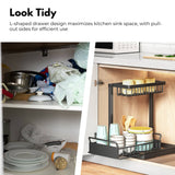 Darrahopens Home & Garden > Kitchenware GOMINIMO 2 Tier Multi-purpose Under Sink Storage Rack (Black) GO-USO-103-JX