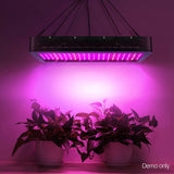 darrahopens Home & Garden > Lighting Greenfingers 2000W LED Grow Light Full Spectrum