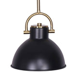 Darrahopens Home & Garden > Lighting Sarantino Black and Gold Pendant Light