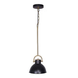 Darrahopens Home & Garden > Lighting Sarantino Black and Gold Pendant Light