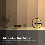 Darrahopens Home & Garden > Lighting VOCTUS 5 in 1 Bedside Table Lamp with 15W Quick Wireless Charger (Black) VT-WC -102-NH