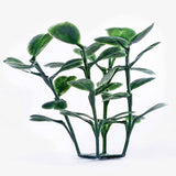 Darrahopens Home & Garden > Rugs 12 x Artificial Plant Wall Grass Panels Vertical Garden Tile Fence 50X50CM Green