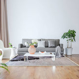 darrahopens Home & Garden > Rugs 200x300cm Floor Rugs Large Rug Area Carpet Bedroom Living Room Mat
