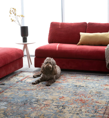 Darrahopens Home & Garden > Rugs Hera 1.6x2.3m