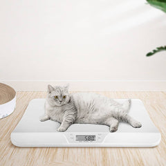 Home &amp; Garden > Scales