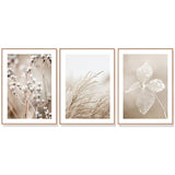darrahopens Home & Garden > Wall Art 40cmx60cm Dried Flower 3 Sets Wood Frame Canvas Wall Art