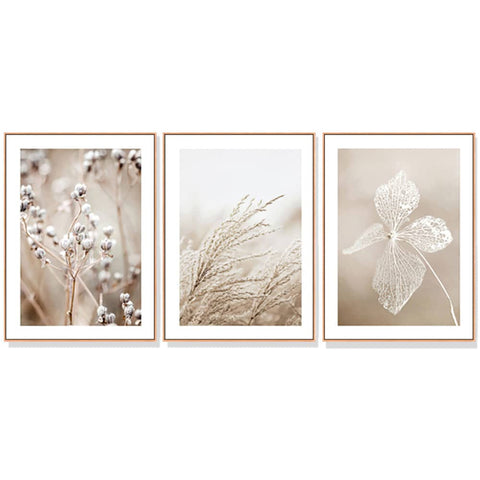 darrahopens Home & Garden > Wall Art 60cmx90cm Dried Flower 3 Sets Wood Frame Canvas Wall Art
