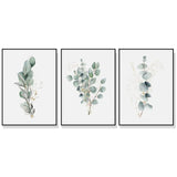 Darrahopens Home & Garden > Wall Art 60cmx90cm Eucalyptus Plant 3 Sets Black Frame Canvas Wall Art