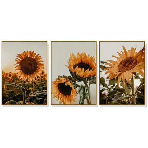 Darrahopens Home & Garden > Wall Art 60cmx90cm Sunflower 3 Sets Gold Frame Canvas Wall Art