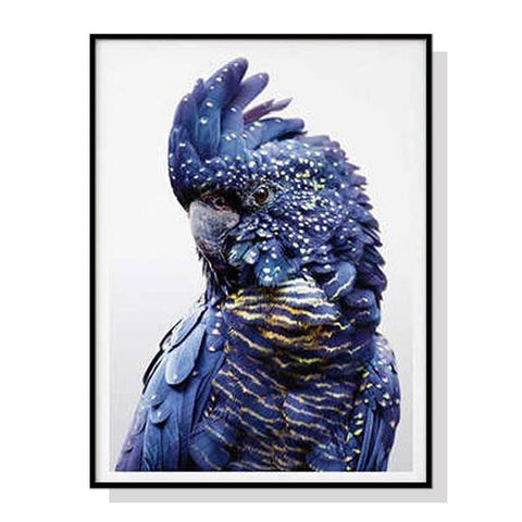 darrahopens Home & Garden > Wall Art 70cmx100cm Black Cockatoo A Black Frame Canvas Wall Art