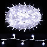 darrahopens Occasions > Christmas Jingle Jollys 100M Christmas String Lights 500LED Party Wedding Outdoor Garden