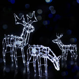 darrahopens Occasions > Christmas Jingle Jollys Christmas Motif Lights LED Rope Reindeer Waterproof Outdoor