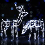 darrahopens Occasions > Christmas Jingle Jollys Christmas Motif Lights LED Rope Reindeer Waterproof Solar Powered