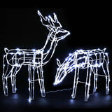 darrahopens Occasions > Christmas Jingle Jollys Christmas Motif Lights LED Rope Reindeer Waterproof Solar Powered