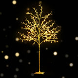 darrahopens Occasions > Christmas Jingle Jollys Christmas Tree 1.5M 304 LED Trees With Lights Warm White