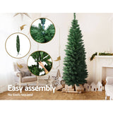 darrahopens Occasions > Christmas Jingle Jollys Christmas Tree 1.8M Xmas Trees Green Decorations 300 Tips