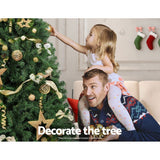 darrahopens Occasions > Christmas Jingle Jollys Christmas Tree 2.1M Xmas Trees Decorations Green 1250 Tips