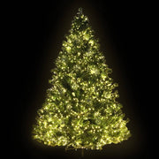 darrahopens Occasions > Christmas Jingle Jollys Christmas Tree 2.4M Xmas Tree with 3190 LED Lights Warm White