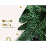 darrahopens Occasions > Christmas Jingle Jollys Christmas Tree 2.4M Xmas Trees Decorations Green 1500 Tips