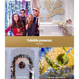 darrahopens Occasions > Lights Jingle Jollys 6X3M Christmas Curtain Fairy Lights String 600LED Party Wedding CW