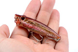 Darrahopens Outdoor > Fishing 4X 6.5cm Popper Poppers Fishing Lure Lures Surface Tackle Fresh Saltwater
