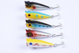 Darrahopens Outdoor > Fishing 5X 5cm Popper Poppers Fishing Lure Lures Surface Tackle Fresh Saltwater