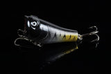 Darrahopens Outdoor > Fishing 5X 5cm Popper Poppers Fishing Lure Lures Surface Tackle Fresh Saltwater