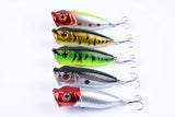 Darrahopens Outdoor > Fishing 5X 6.5cm Popper Poppers Fishing Lure Lures Surface Tackle Fresh Saltwater